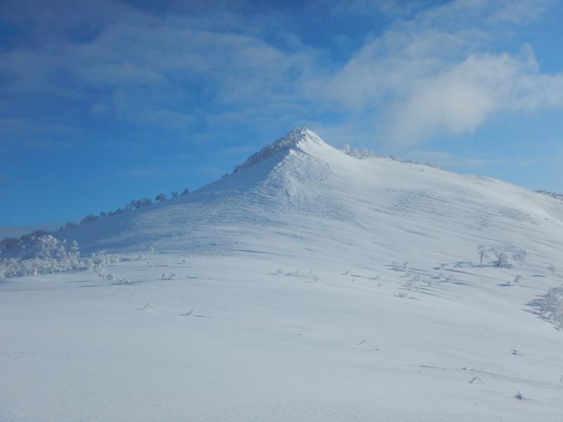 P944と昆布岳のコルより山頂の眺め